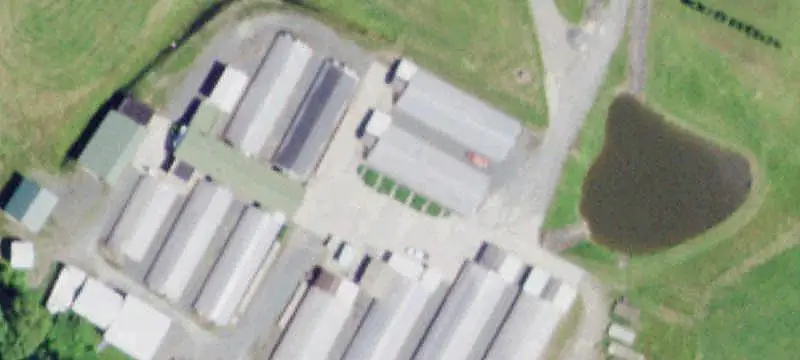 Wholesale Greenhouse Operation