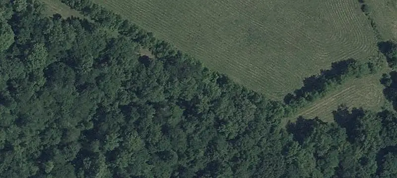 Agricultural Land with Paddocks