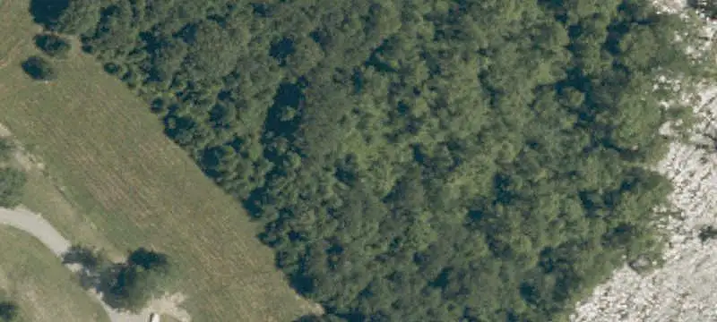 Wooded Waterfront Land