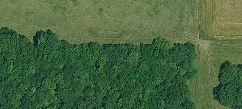 Hunting Land with Agricultural Uses