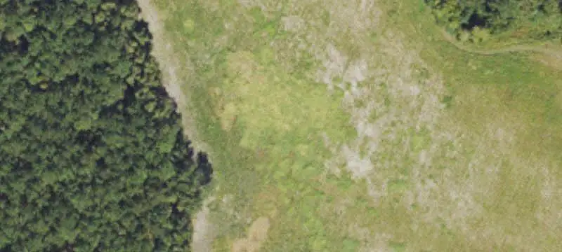 Creekside Land Tract