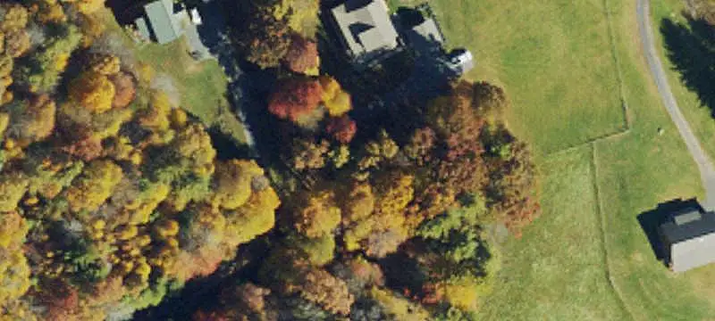 Wooded Land Parcel