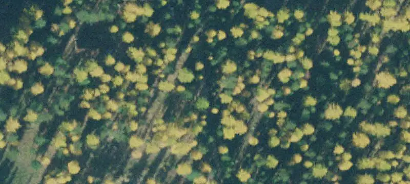 Land/Property