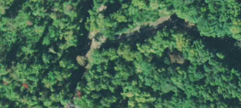 Land with Timber and Rock Formations