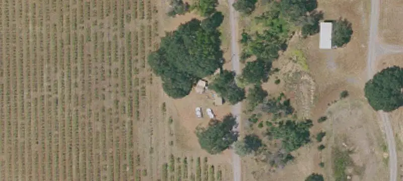 Elevated Cabernet Sauvignon Vineyard