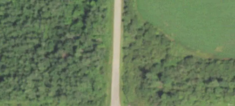 Forestry Land with Aspen Growth