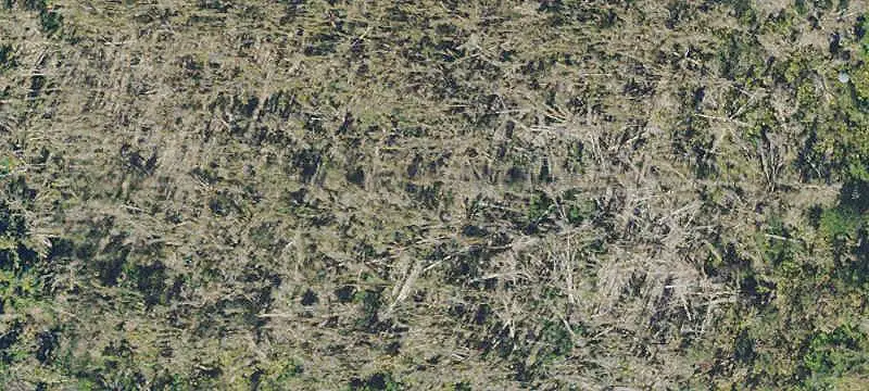 LAND