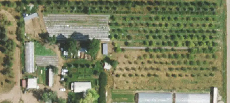Irrigated Organic Farm