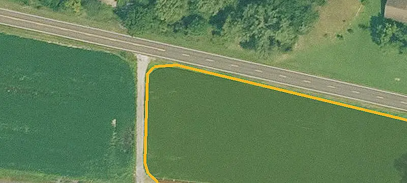 Hunting Land with Mature Timber