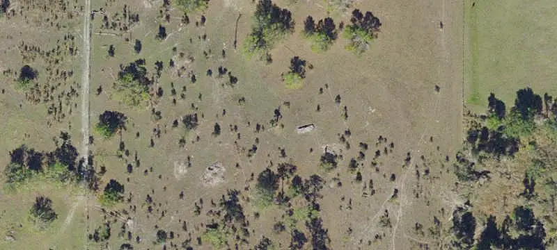 Cleared Agricultural Land