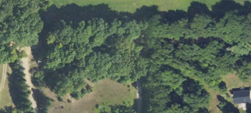 Wooded Land with Open Clearing