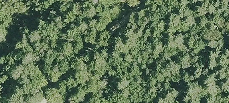 Land/Lot