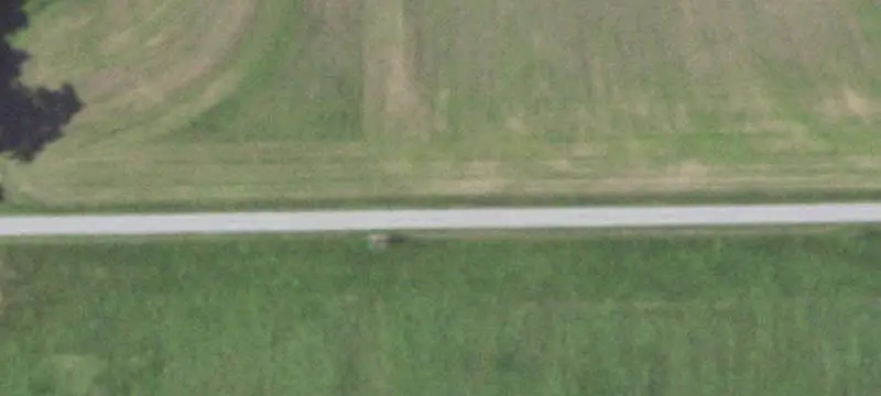 Farm with Tillable Ground and Timber