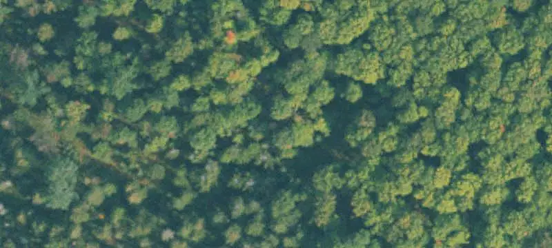 Land