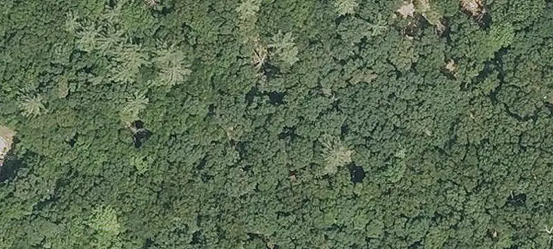Lot & Land