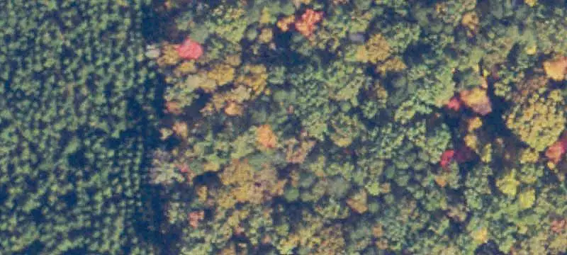 Unimproved Land