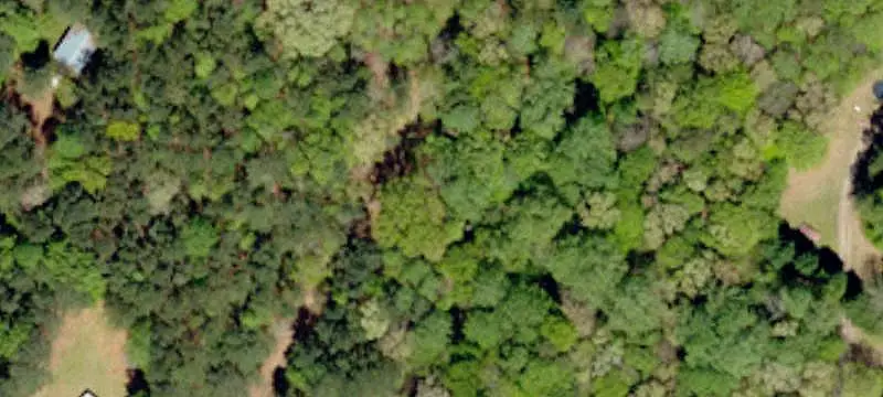 Hunting Land with Cabin