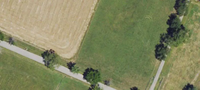 Equestrian Property with Three Barns