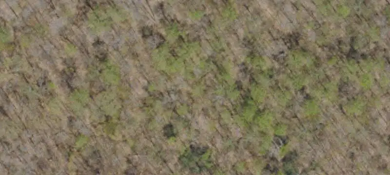 Commercial Land with Septic