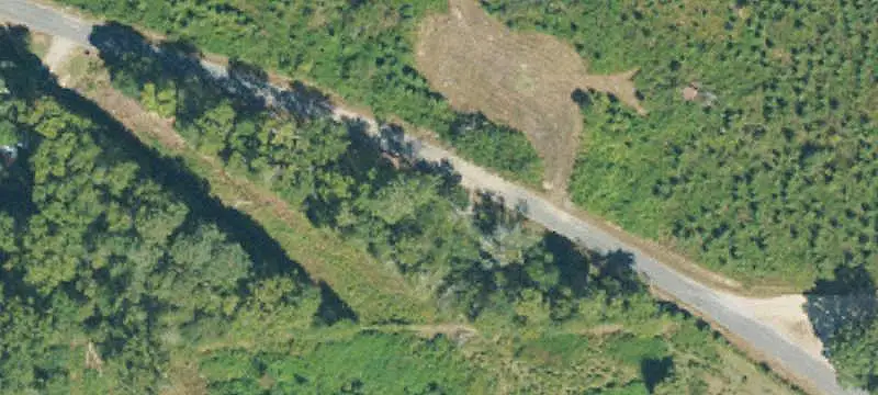 Agricultural Timberland Parcel