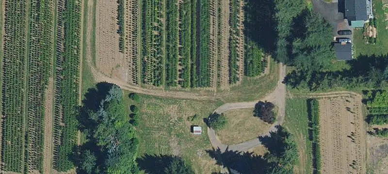 Agricultural Land with Shop