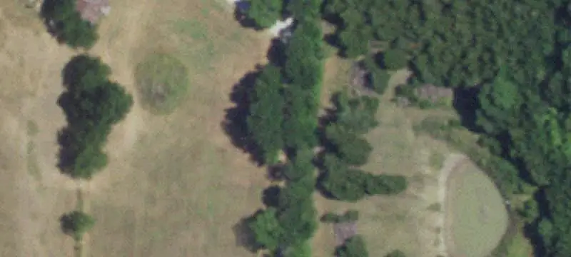 Treed Agricultural Land