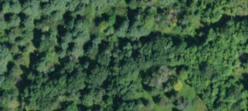 Road-Fronted Land