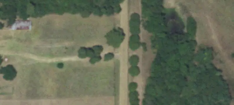 Mature Timber Hunting Land
