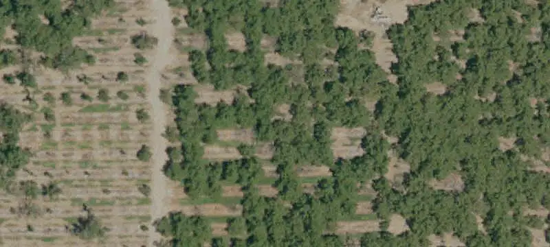 Walnut Orchard Farm with Duplex
