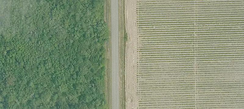 Land