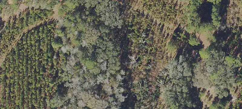 Land