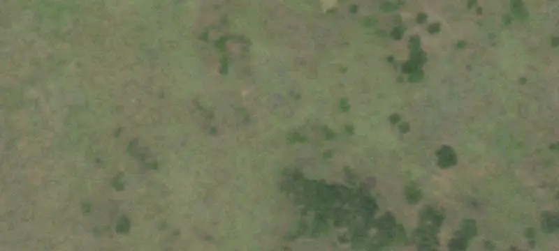 Wooded In-Town Land Tract