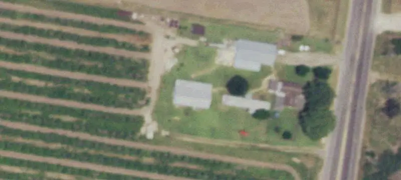 Established Citrus Farmland