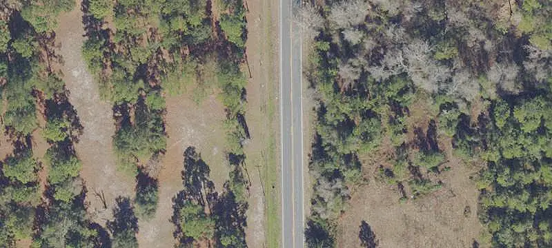 Hunting Land with Live Oaks