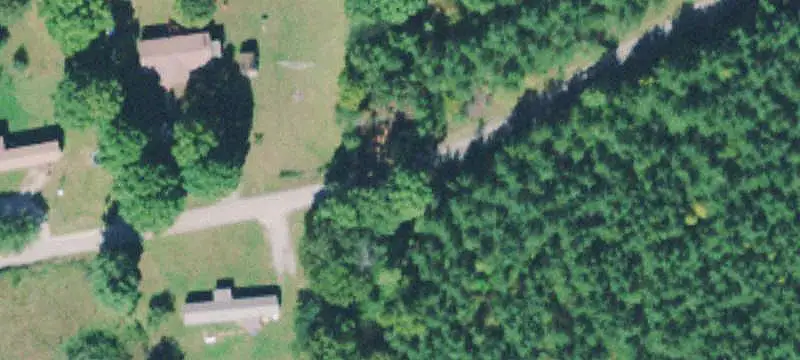 Large-Scale Timberland Property