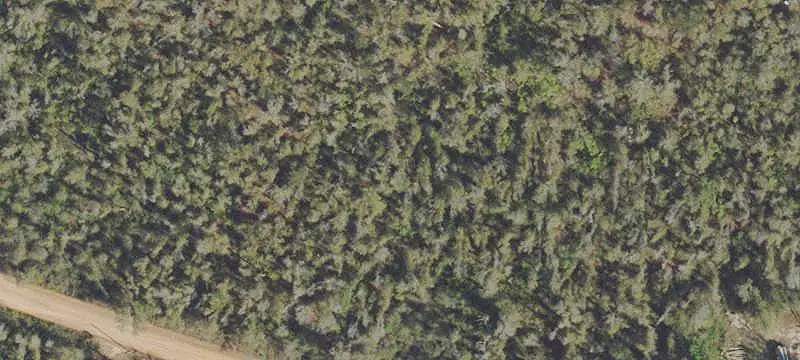 Undeveloped Agricultural Land