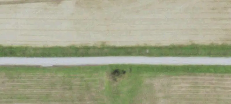 Fenced Agricultural Land