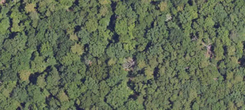 Lots/Land
