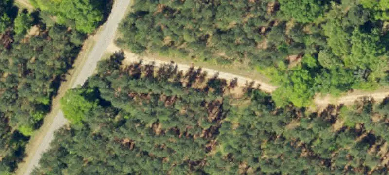 Creekfront Timber and Recreation Land