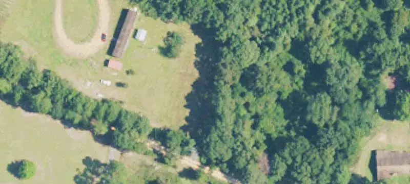 Wooded Hunting Land