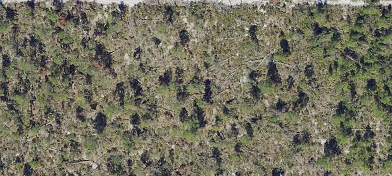 Land or Vacant Lot