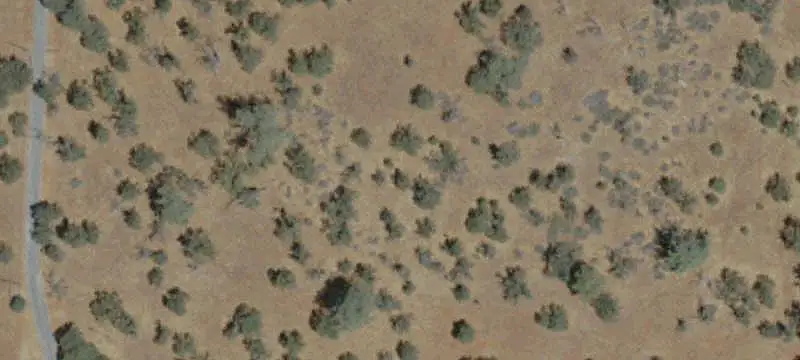 Land/Lot