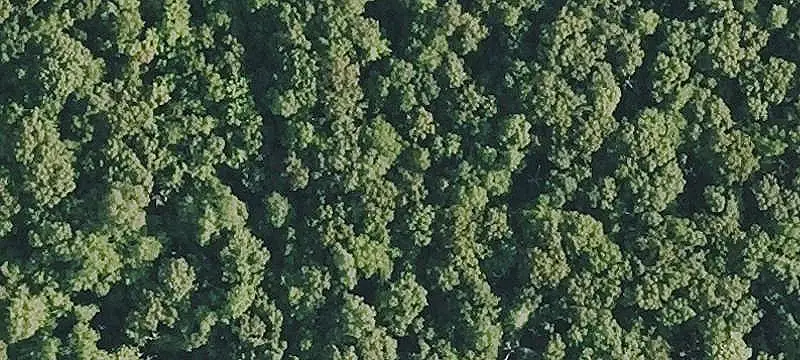 Land/Lot
