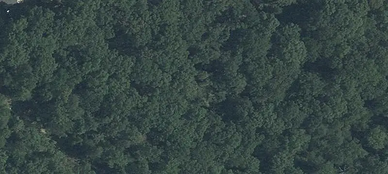 Unimproved Land