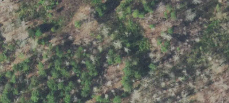 Rolling-Hill Land with Ponds