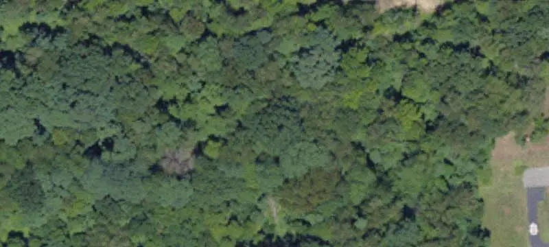 Farm