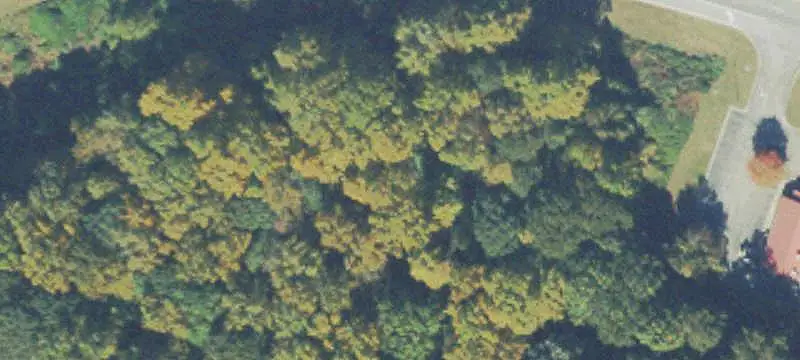 Commercial Land