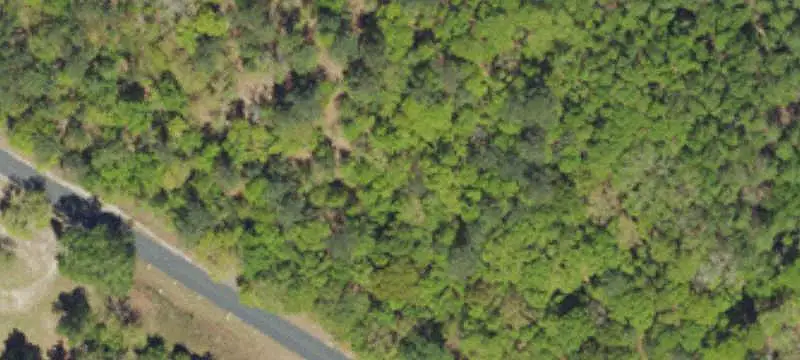 Vacant Land / Lots