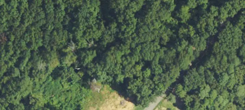 Lots/Land