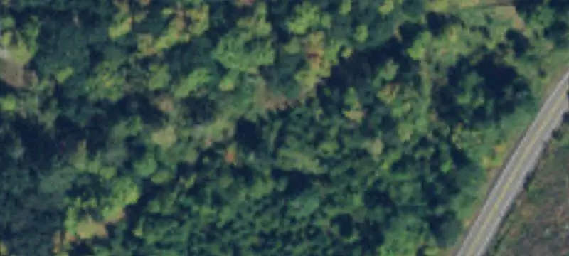 Land/Lot